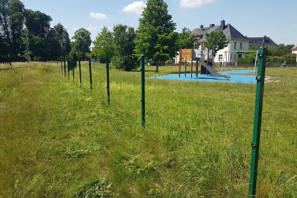 Foto: Jan Matussek/Servicegesellschaft der Stadt Delitzsch