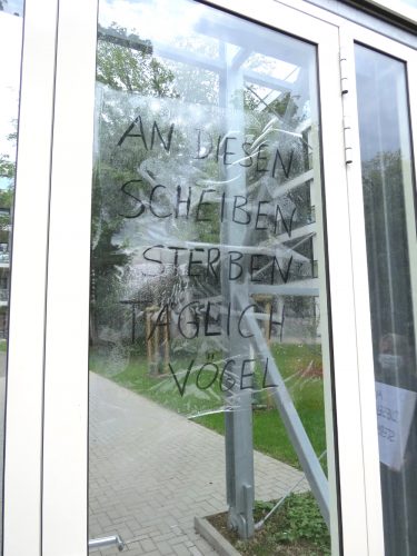 Die Schallschutzwand aus Glas ist für Vögel unsichtbar. Foto: NABU Leipzig