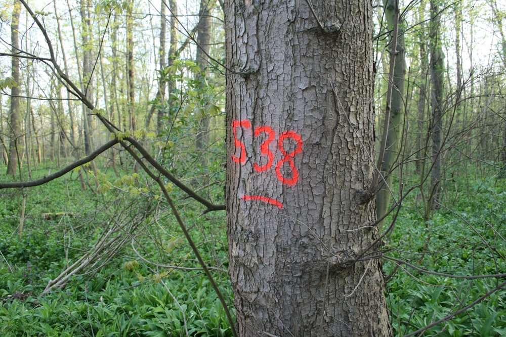 Was bedeuten nur diese Zahlen? Foto: Ralf Julke