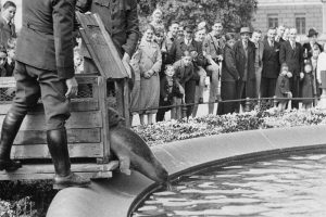 Robben im Mendebrunnen, aufgenommen vom Fotografen Max Ellrich. Auch zu dem Motiv fehlen dem Stadtarchiv Hinweise, etwa zur Datierung des Fotos. Quelle: Stadtarchiv Leipzig