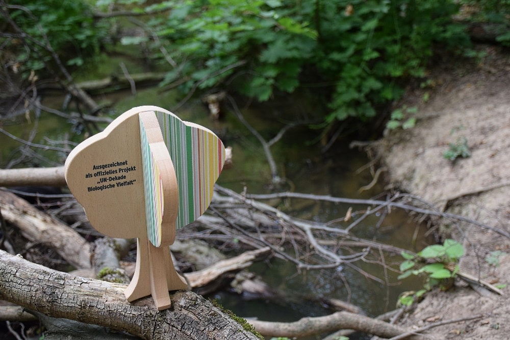 Burgauenbach, Foto: Karolin Tischer