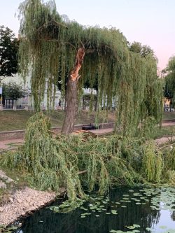 Foto: Andreas Pradel