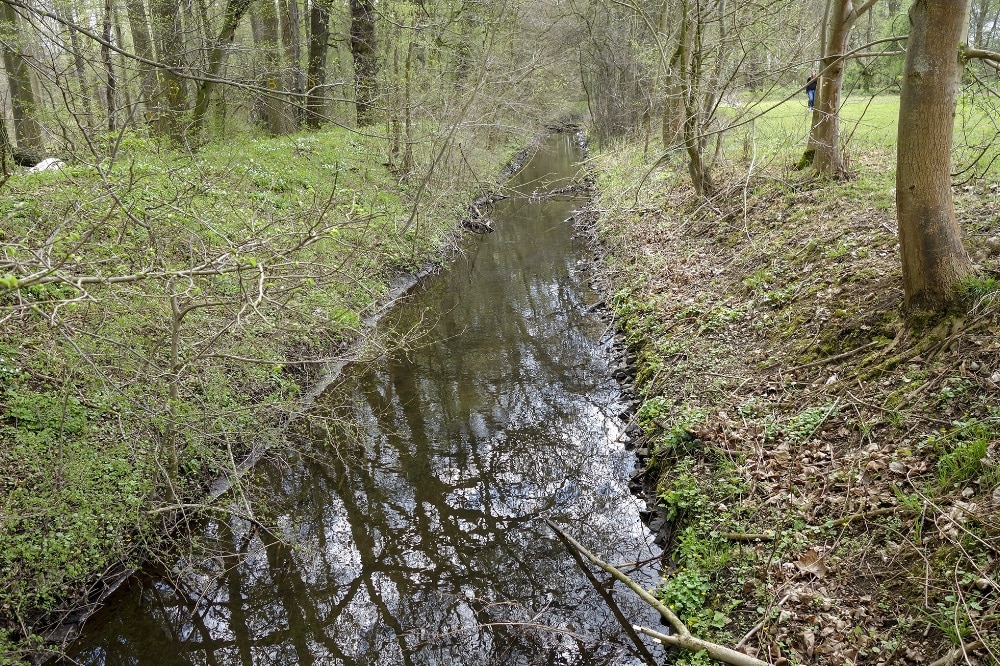 Zschampert, Foto: Maria Vitzthum (NABU Sachsen)