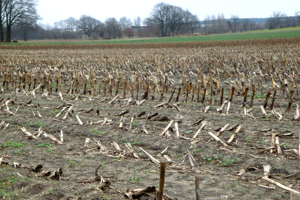 Intensiv bewirtschaftete Ackerfläche. Foto: Gernot Borriss
