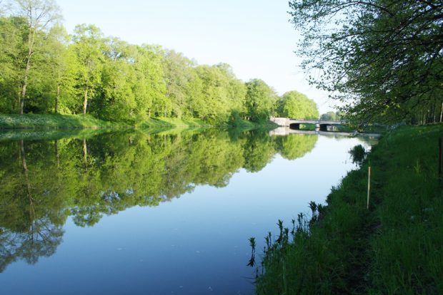 Sieht hübsch aus, ist aber ökologisch eine Katastrophe: das Elsterflutbett. Foto: Ralf Julke