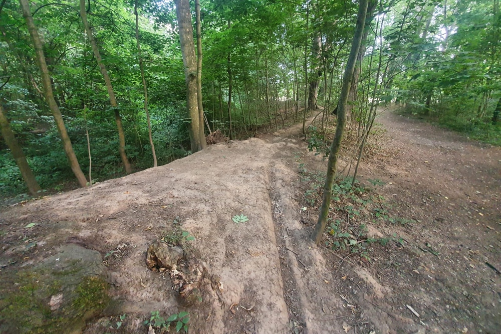 Illegale Mountainbike-Strecke im Volkspark Kleinzschocher. Foto: Jürgen Kasek