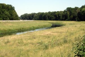 Entzieht dem Auenwald das Wasser: die Neue Luppe. Foto: Ralf Julke