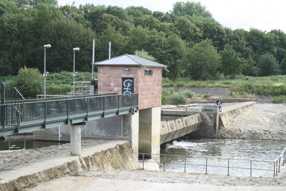 Immer öfter ziemlich kärglich: Neue Luppe am Rosentalwehr. Foto: Ralf Julke
