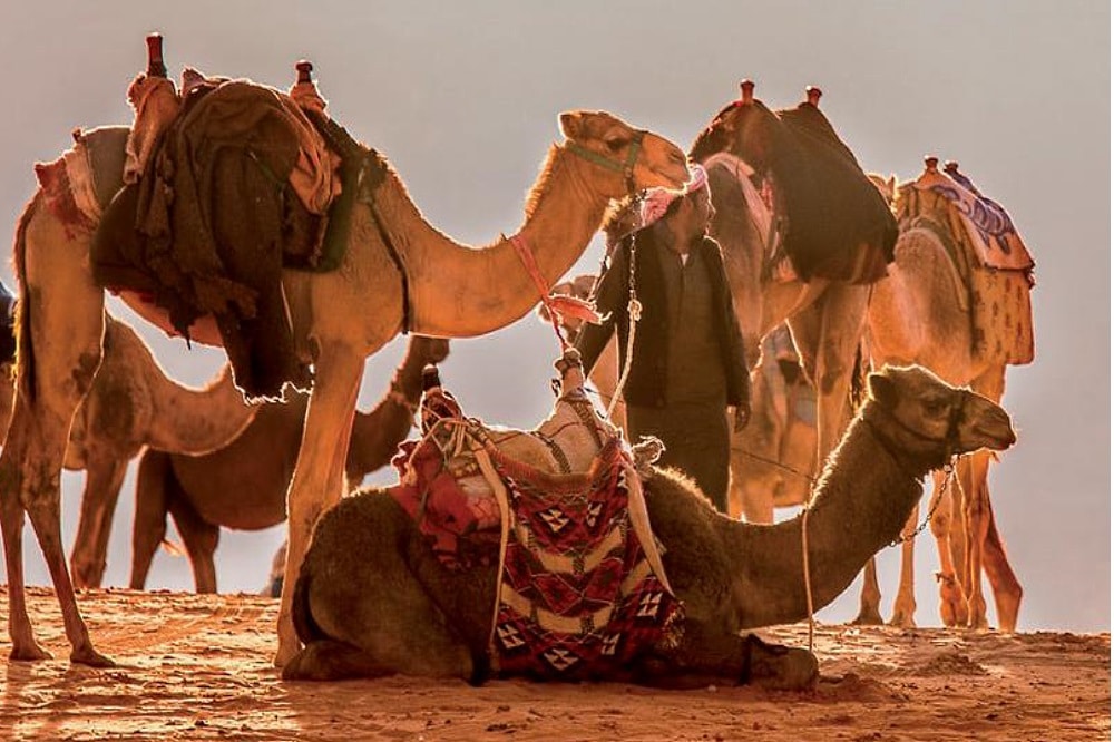 Plakatausschnitt. Quelle: Kirchenbezirk Leipzig