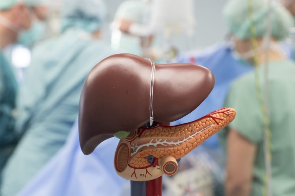 Mit der Gründung des neuen Zentrums am UKL wollen die Mediziner jetzt zum Beispiel den an Leberzirrhose Erkrankten wirksamer als bisher helfen. Foto: Stefan Straube / UKL