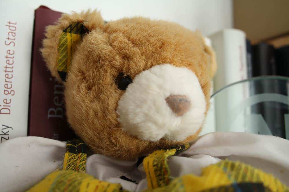 Das überleg ich mir noch ... Foto: Ralf Julke