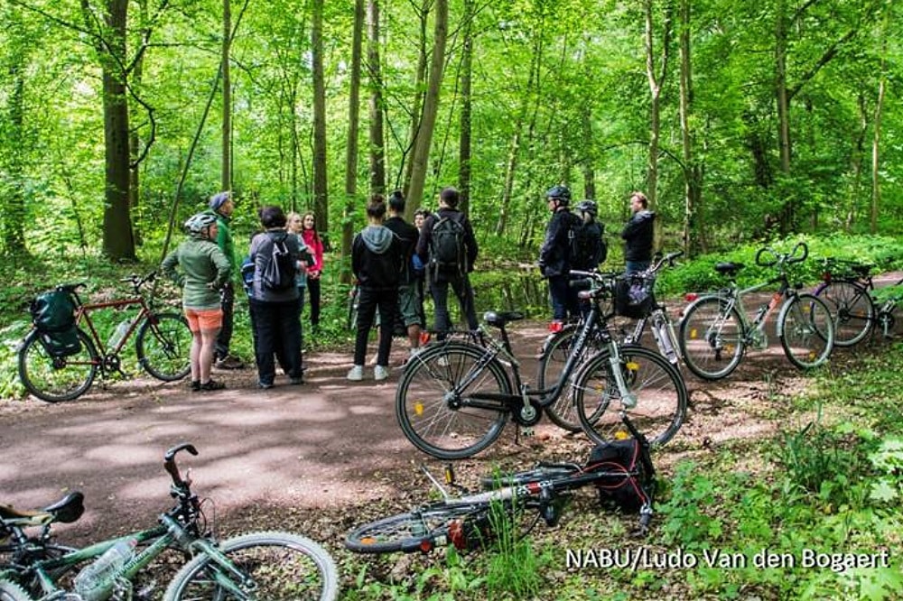 Burgaue. Foto: Ludo Van den Bogaert