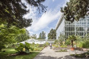 Gewächshäuser im Botanischen Garten der Universität Halle. Foto: Uni Halle / Matthias Ritzmann