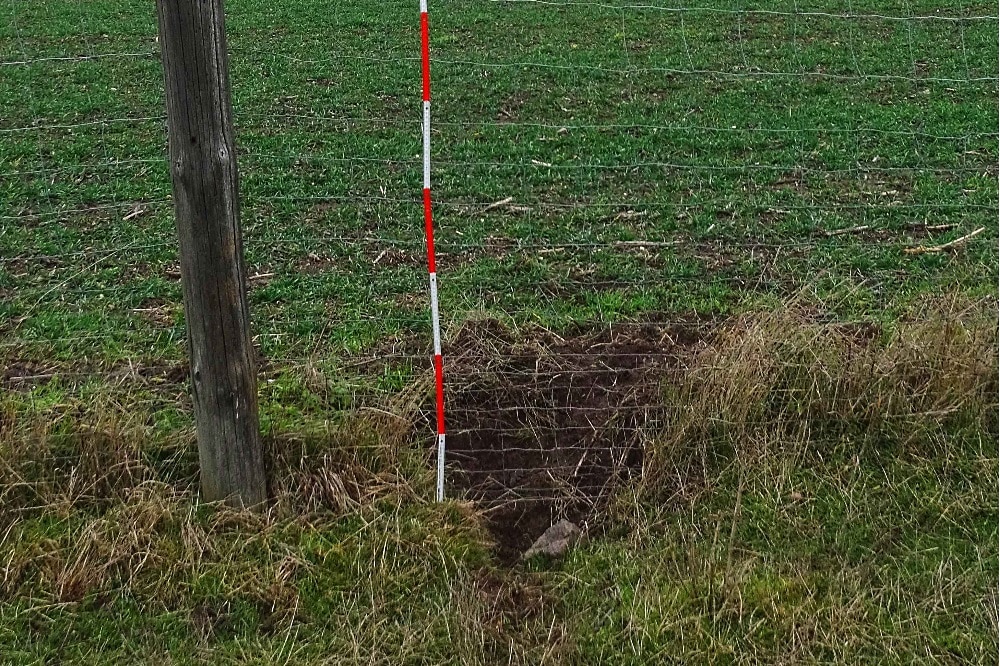 Wühlstelle an Festzaun. © LfULG/Fachstelle Wolf