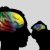 Das menschliche Gehirn ist entlang zweier Achsen organisiert. Dieses Prinzip scheint sich durch die Hirnorganisation aller Primaten zu ziehen. Grafik: Valk/ MPI CBS
