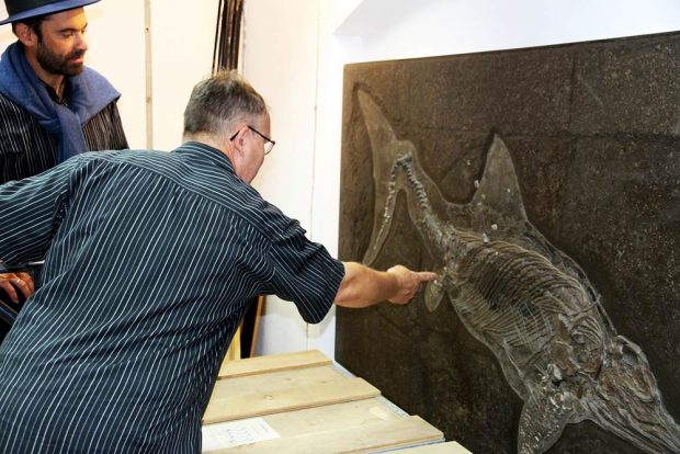 Frank Trostheide erläutert sein Vorgehen bei der Präparation eines tadellos erhaltenen Ichthyosauriers. Foto: Naturkundemuseum Leipzig