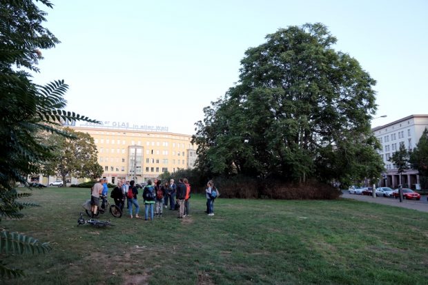Kein "Gestrüpp" mehr - hier sind Bäume gewachsen. Foto: LZ