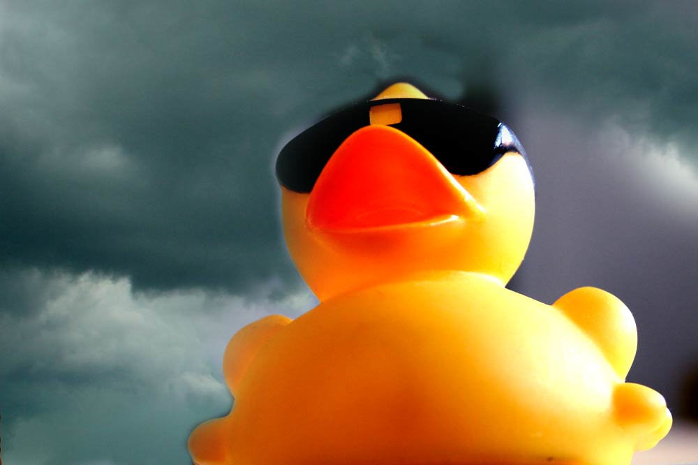 Was kümmert uns die Zukunft? Foto: L-IZ