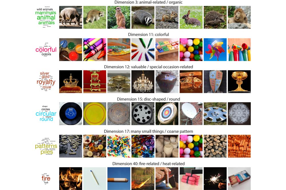 Von "tierisch" bis "feuerassoziiert": Das Gehirn schlüsselt unsere Umgebung in insgesamt 49 Merkmale auf, nach denen es alle Objekte kategorisiert (hier nur als Ausschnitt gezeigt). Foto: Hebart/ MPI CBS