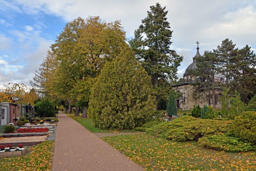 Friedhofswege saniert. Foto: Christian Maurer