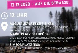 Aufruf von Fridays for Futre und weiteren zum 12. Dezember 2020. Bild: FFF