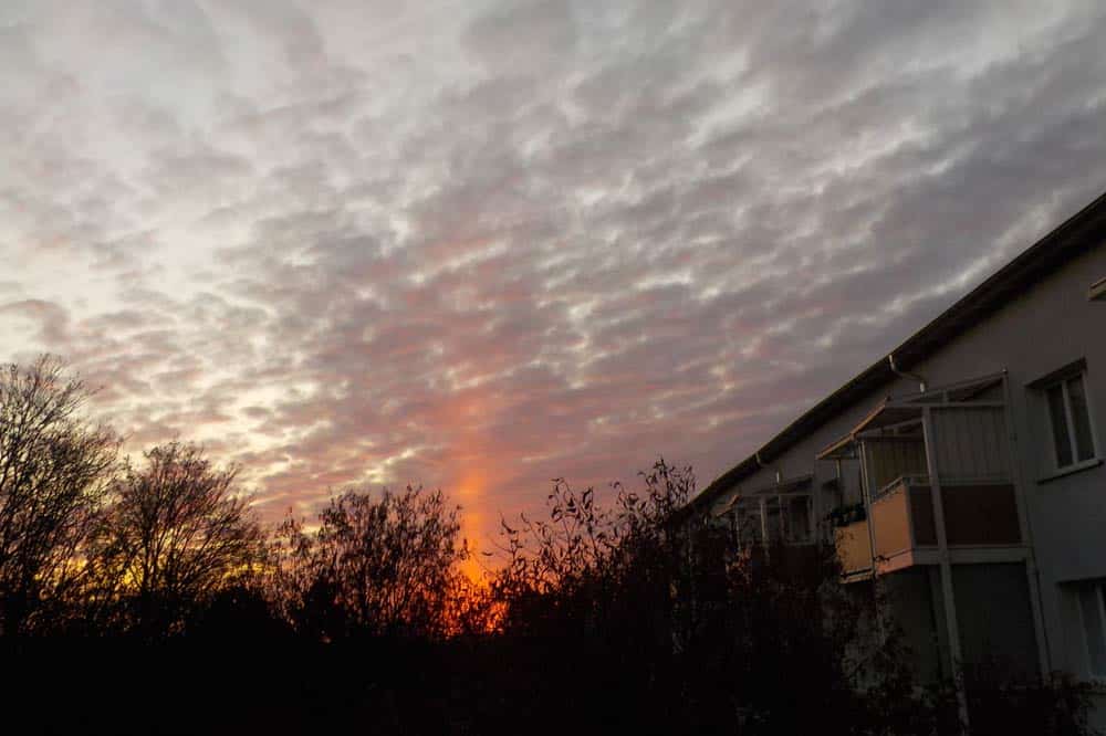 Sonnenuntergang am 30. November in Markkleeberg. Foto: Jane C.Otto