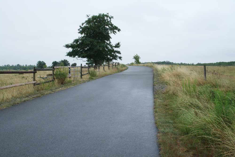 Wem gehört der Weg zum Horizont? Foto: Ralf Julke