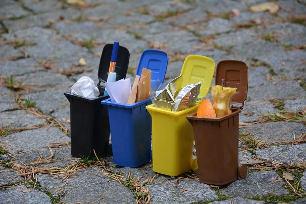 Symbolbild Abfalltrennung © LfULG, Janka Soltes