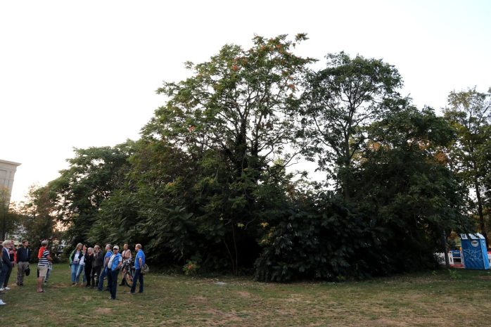 Der Leuschnerplatz 2020. Foto: LZ