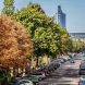Mehr Straßenbäume in Städten (wie hier im Leipziger Stadtzentrum) können dazu beitragen, die psychische Gesundheit, aber auch das lokale Klima, die Luftqualität und den Artenreichtum zu verbessern. Foto: Philipp Kirschner