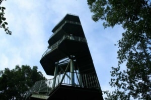 Der sogenannte „Wackelturm“ auf dem Rosentalhügel. Foto: Ralf Julke