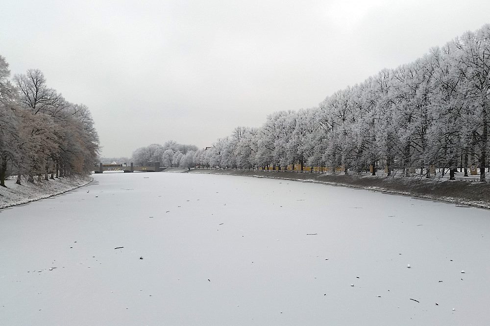 Eisige Zeiten. Foto: Marko Hofmann