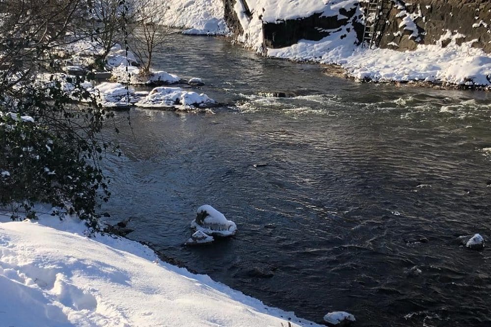 Die Weißeritz im Plauenschen Grund in Dresden © LfULG/ Karin Bernhardt