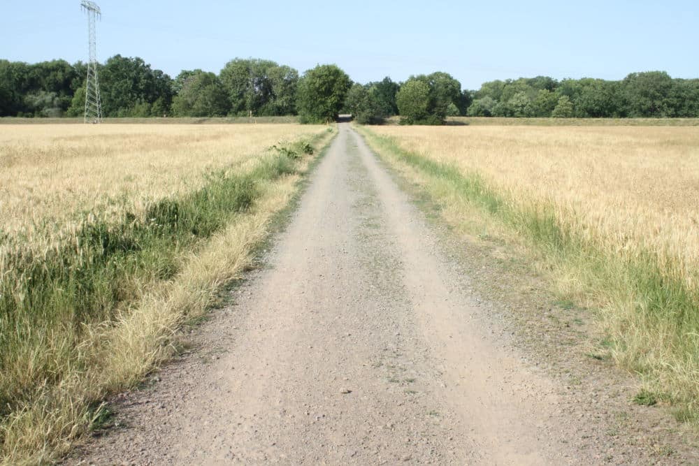 Knochentrockener Boden: Ackerbau in der Nordwestaue. Foto: Ralf Julke
