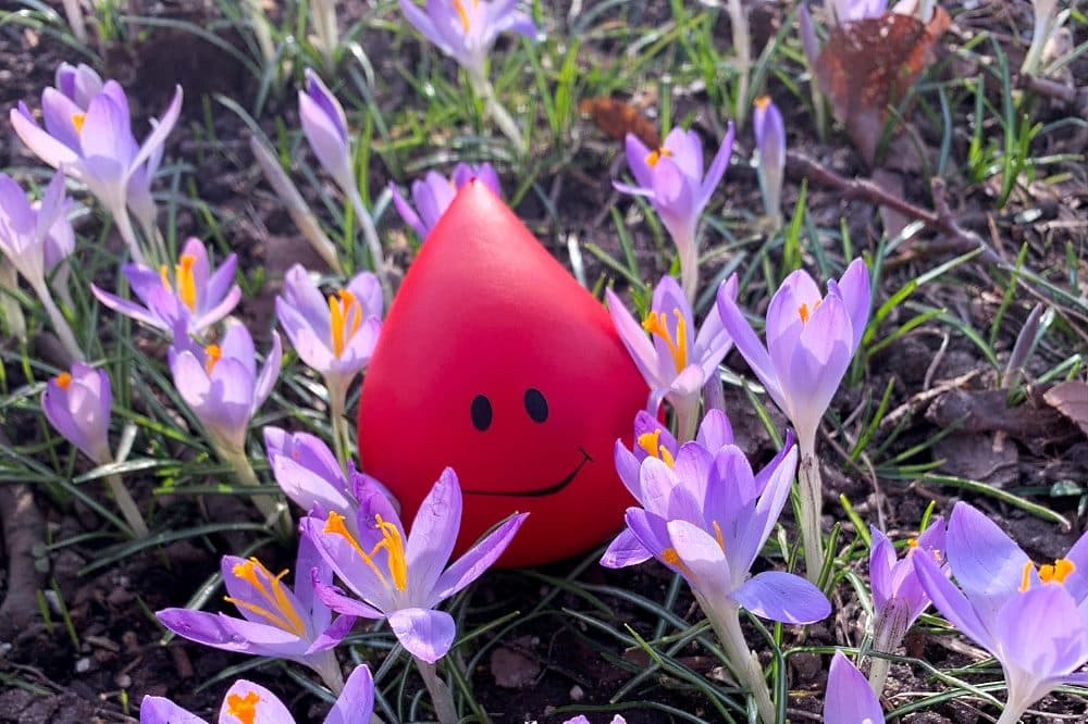 Unter dem Motto „Mach' doch mal Frühling!“ möchte die UKL-Blutbank mit einem attraktiven Gewinnspiel Blutspendewillige vor und nach Ostern verstärkt zum Helfen motivieren. Foto: Isabell Tschirner/UKL