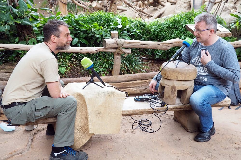 Im Podcastgespräch Bereichsleiter Daniel Geissler und MDR Zooreporter Dirk Hentze (li) © Zoo Leipzig