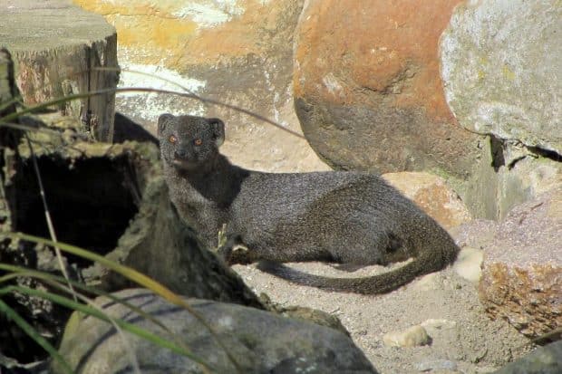 Foto: Konstantin Ruske