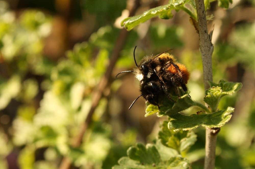 Foto: Sabrina Rötsch