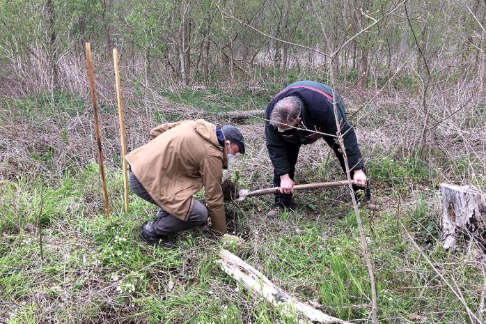 Wolfram Günther Auwald