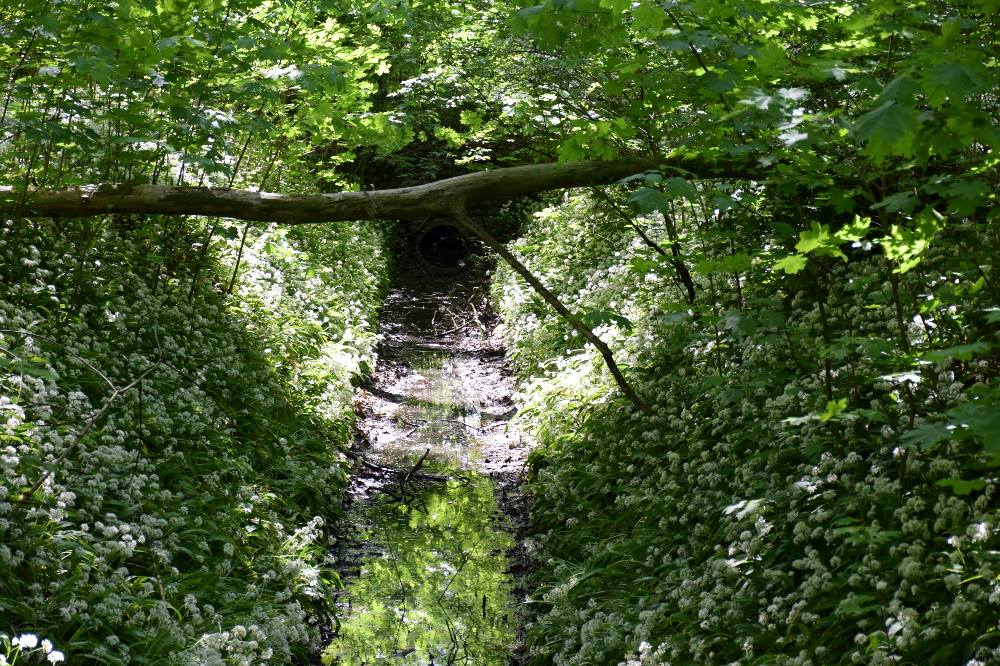 Artikelgebundenes Foto