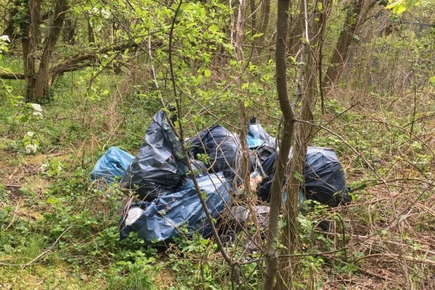 Illegal entsorgter Müll. Foto: Nick Totfalusi