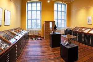 Einblick in die neue Ausstellung im Kupferstichkabinett. Foto: Universitätsmedizin Halle (Saale)