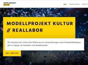 Modellprojekt Kultur // Reallabor. Screenshot: LZ