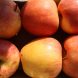 Äpfel aus der Sortiermaschine. Foto: Ralf Julke