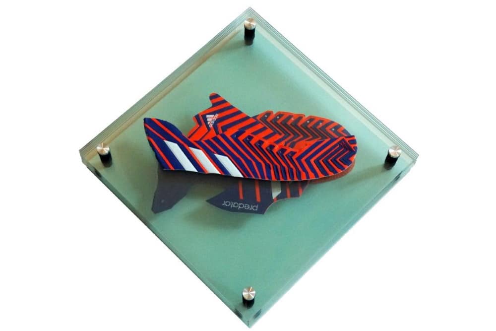 Erik Weiser: Fisch. Foto: Erik Weiser