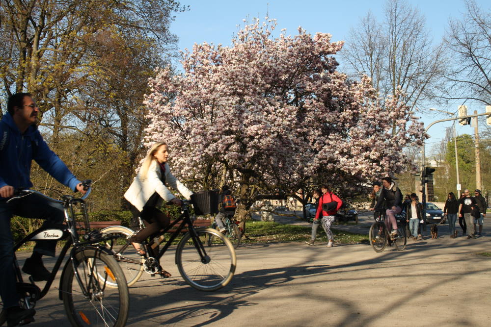 Die Einfahrt in den Klingerhain im Frühjahr. Foto: Ralf Julke