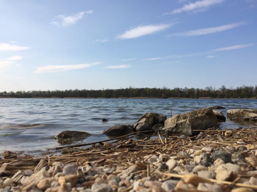 Am Ufer des Kulkwitzer Sees. Foto: LZ