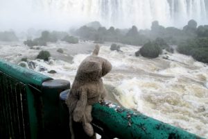 Siggi an den Iguazú Wasserfällen in Argentinien. Foto: privat