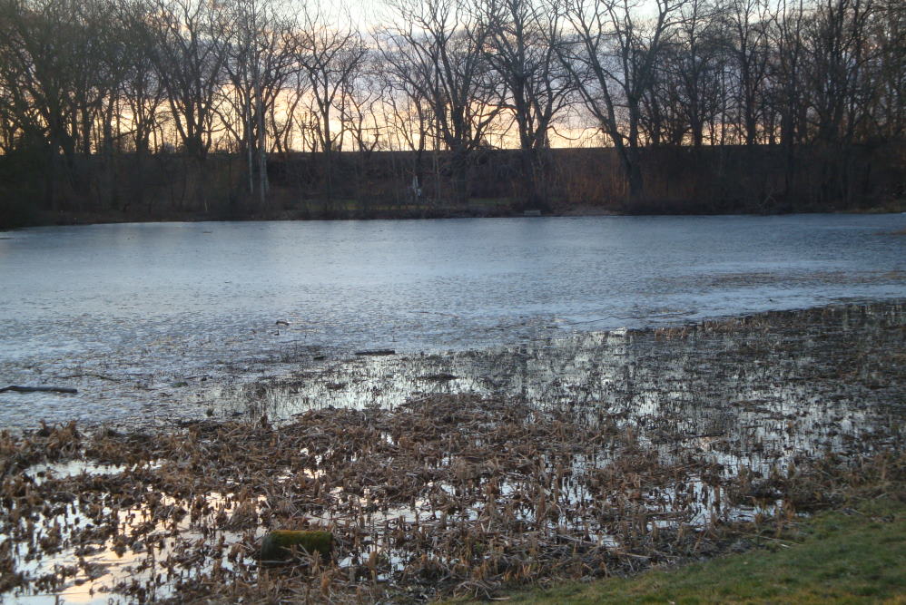 Der Stünzer Teich. Foto: Gernot Borriss