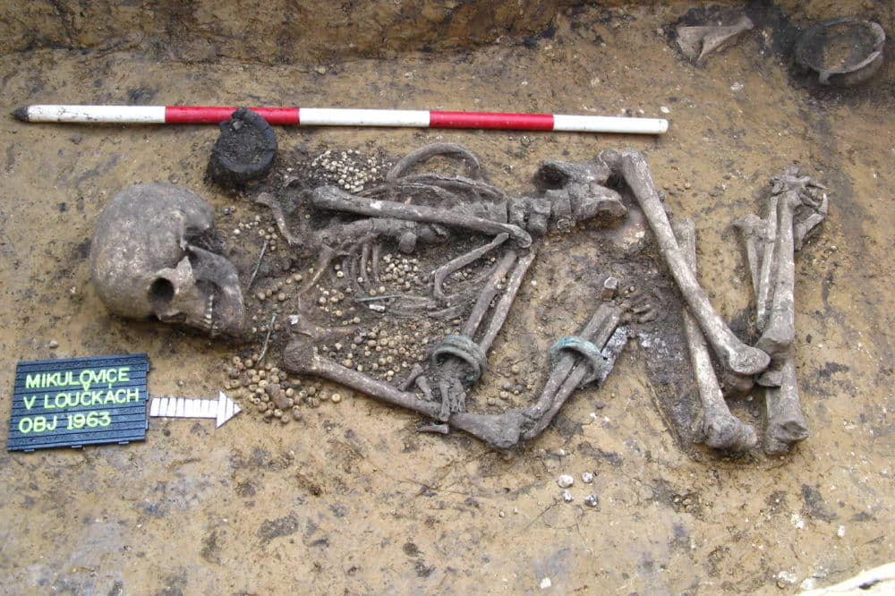 Reich ausgestattete frühbronzezeitliche Bestattung aus Böhmen, Tschechische Republik. Foto: Michal Ernée, Jarmila Švédová